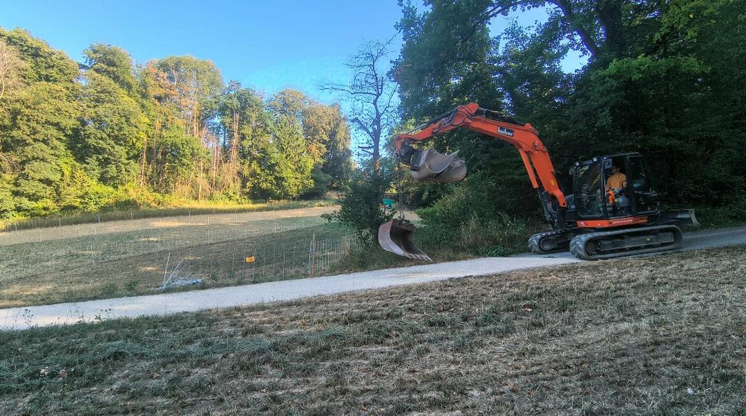 Ein Bagger steht am Feldweg am Rand der Wiese